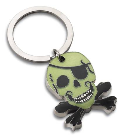 Keyring REFLECTS DARWEN 