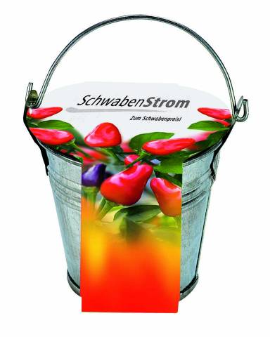Zink-Eimerchen Chili, Chili, 1-4 c Digitaldruck inklusive 