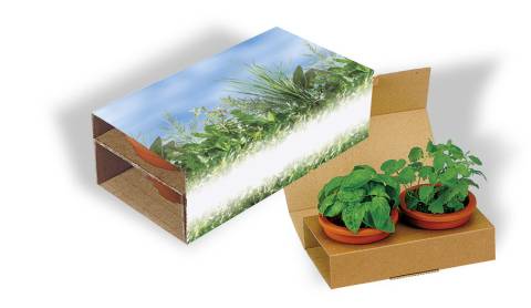 Partner-Duo Maxi Kr�uter, Basilikum, Zitronenmelisse, 1-4 c Digi