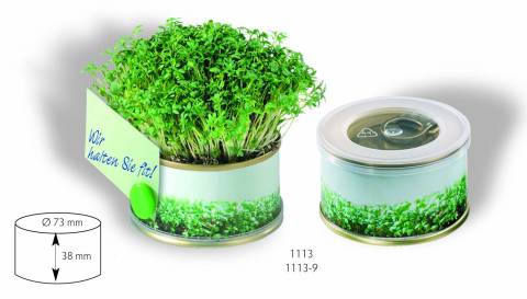 Mini Garten Vitamine ohne Magnet 73 �x38 mm, 1-4 c Digitaldruck