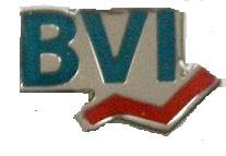 Ansteckpins mit Logo