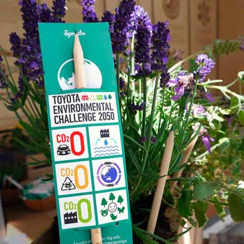 Sprout Bleistift in 1er Verpackung individuell