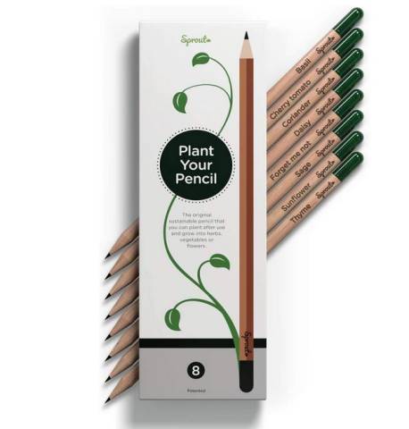 Sprout Bleistift 8er Packung