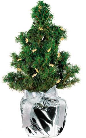 Lichterschein B�umchen 20-30cm