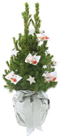 Kristall B�umchen 35 - 45 cm