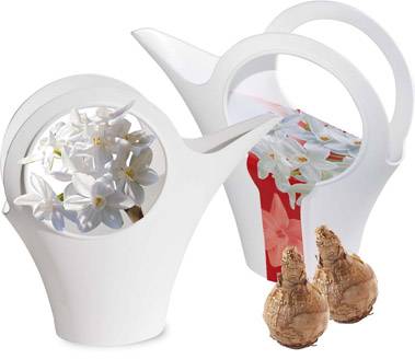 Narzissen-Kanne Camilla XS