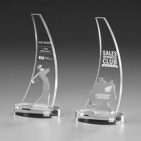 Acrylic Ice Award