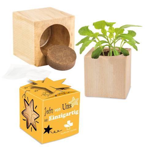 Pflanz-Holz Star-Box Ostern mit Samen