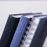 Tagebuch Versalles