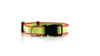 Hundehalsband Muttley