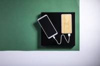 Power Bank Dickens