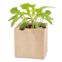 Pflanz-Holz Star-Box Ostern mit Samen