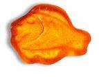 Fruchtgummi Fisch