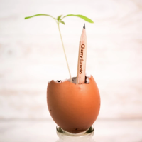 Sprout Bleistift Thymian