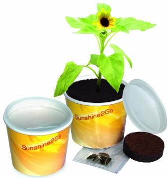 Sunshine 2go, 1-4c Digitaldruck inklusive