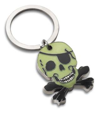 Keyring REFLECTS DARWEN 