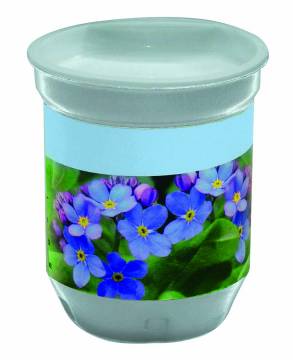 XL Wachstum Vergissmeinnicht, 1-4 c Digitaldruck inklusive