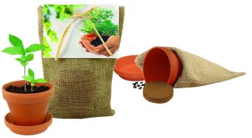 Pflanze Deinen Baum Natur-S�ckchen, Akazien-Baumsamen, 1-4 c Dig