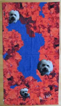 Foto Badetuch Frottier