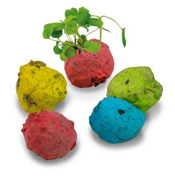 Bunte Mini Flower Balls