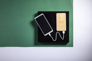 Power Bank Dickens