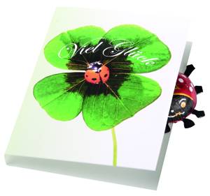 Klappkrtchen Glckskfer, 1-4 c Digitaldruck inklusive