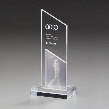 Ice Peak Award
