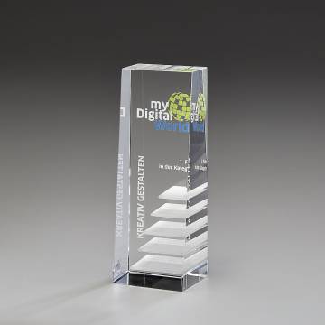 Steps to Success Award