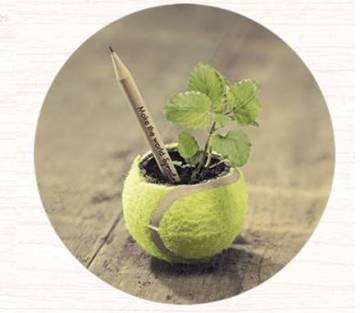 Sprout Bleistift Melone