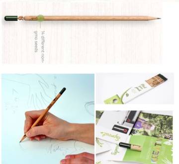 Sprout Bleistift Vergissmeinnicht